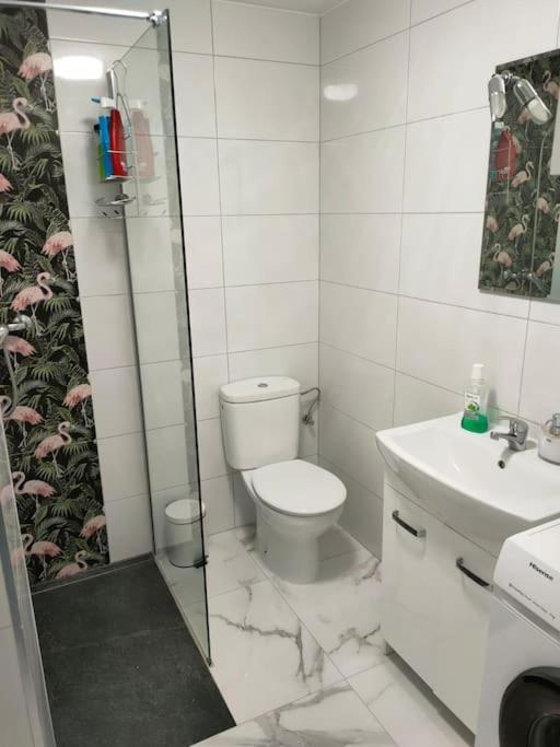 Apartament Flamingo Z Basenem تورّيفيِخا المظهر الخارجي الصورة