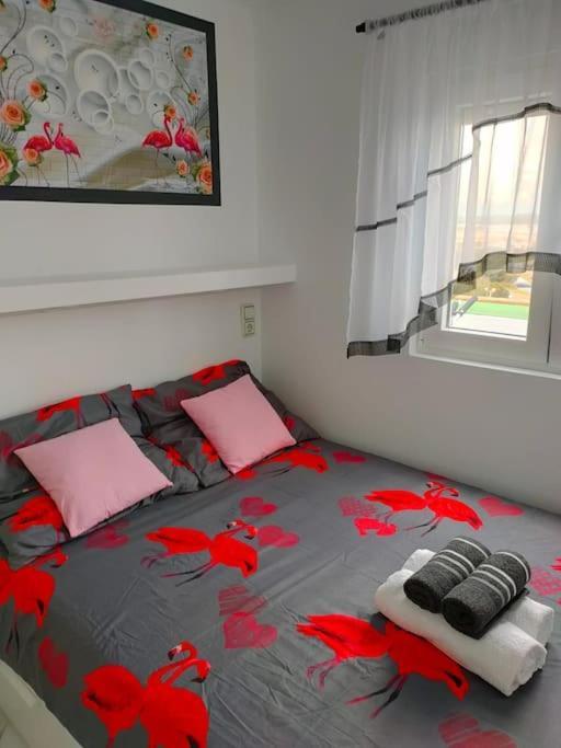 Apartament Flamingo Z Basenem تورّيفيِخا المظهر الخارجي الصورة